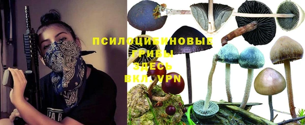 ГАЛЛЮЦИНОГЕННЫЕ ГРИБЫ Баксан