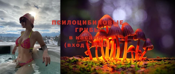 гидра Беслан