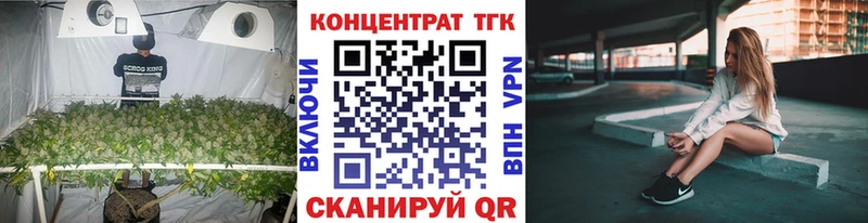 Дистиллят ТГК концентрат  hydra маркетплейс  Шагонар 